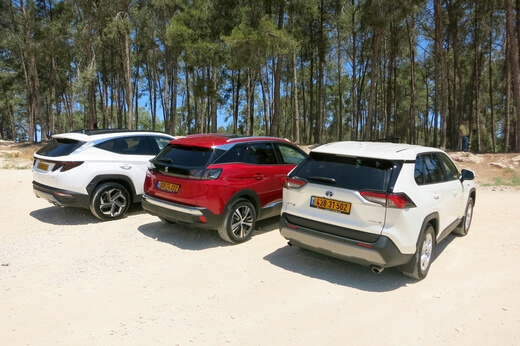 מבחן ג'יפונים